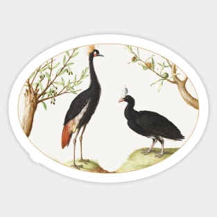 Gray Crowned Crane and Helmeted Currasow (1575–1580) Sticker